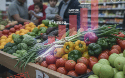 Alerta por exceso de plaguicidas en frutas y verduras de supermercados limeños